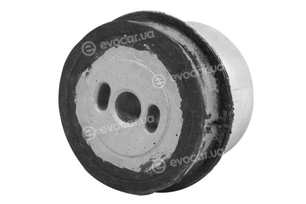 Tedgum 00504699