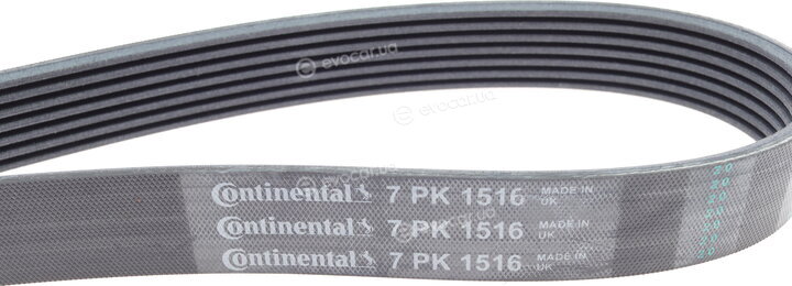 Continental 7PK1516