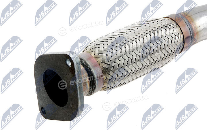 NTY DPF-NS-001