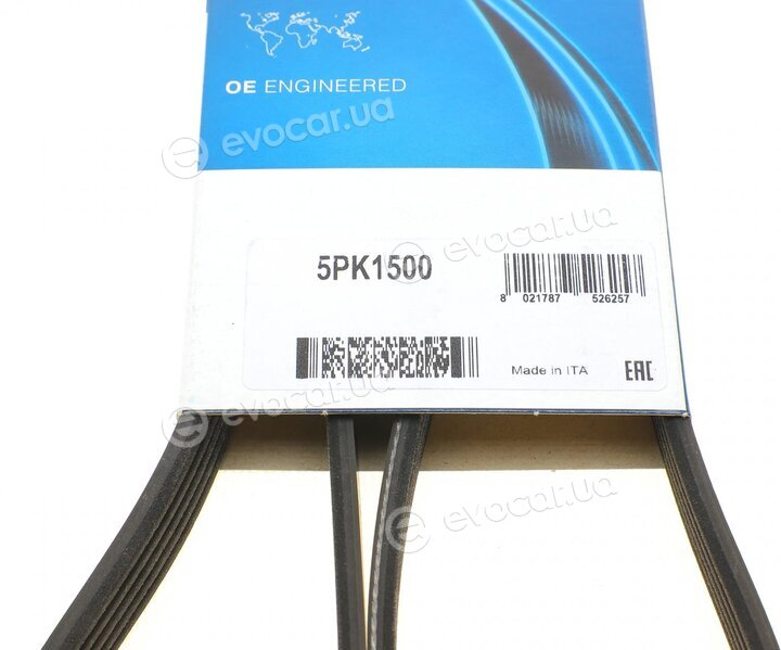 Dayco 5PK1500