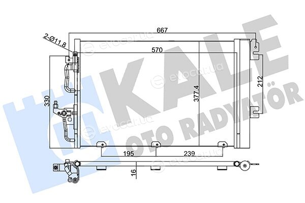 Kale 393400