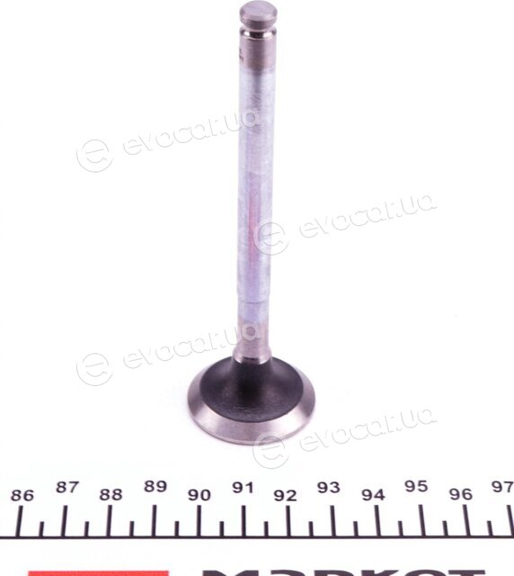 Mahle 007 VA 30681 100