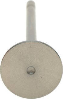 AMP PHYU003-S-0-N
