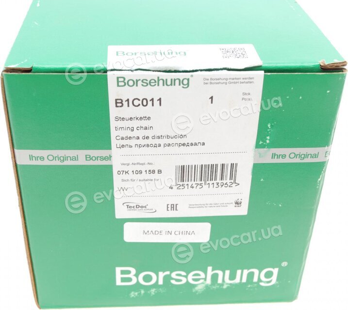 Borsehung B1C011