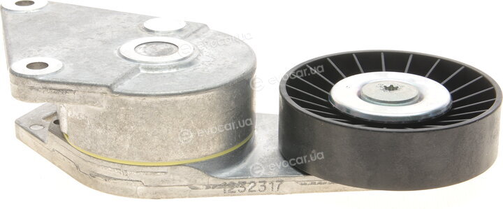 Dayco APV1001