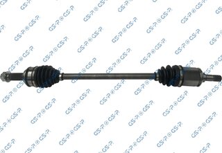 GSP 223199