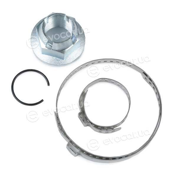 Ridex 5J0231