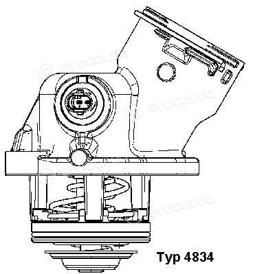 Wahler / BorgWarner 4834.100D