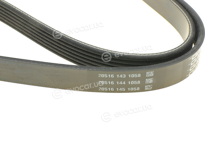 Dayco 6PK1815