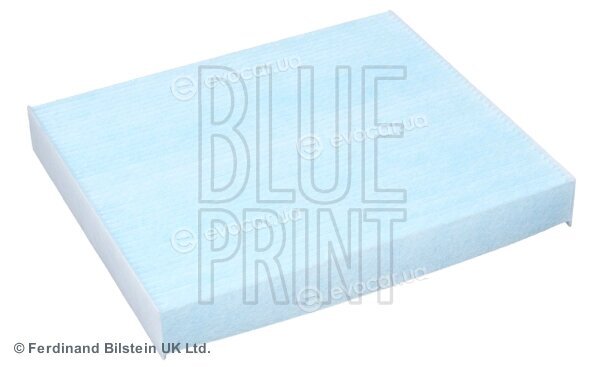 Blue Print ADG02563