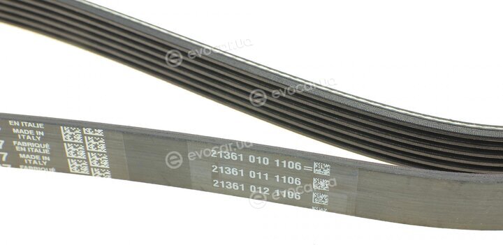 Dayco 6PK1437