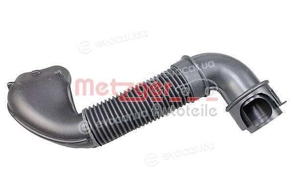 Metzger 2388076