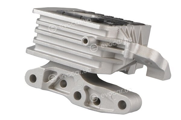 Tedgum TED34979