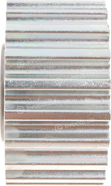 Gates K025484XS