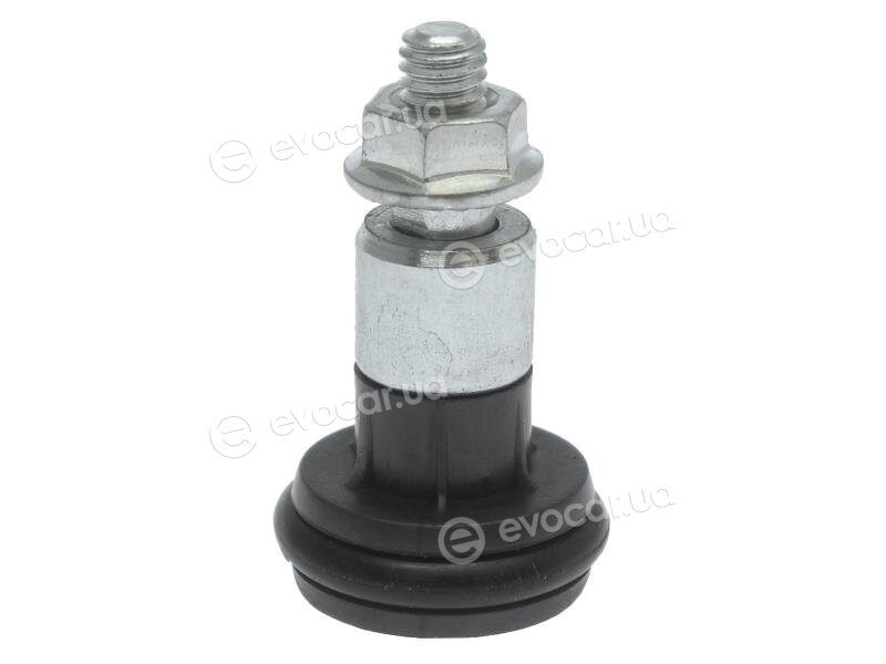 AIC 55888