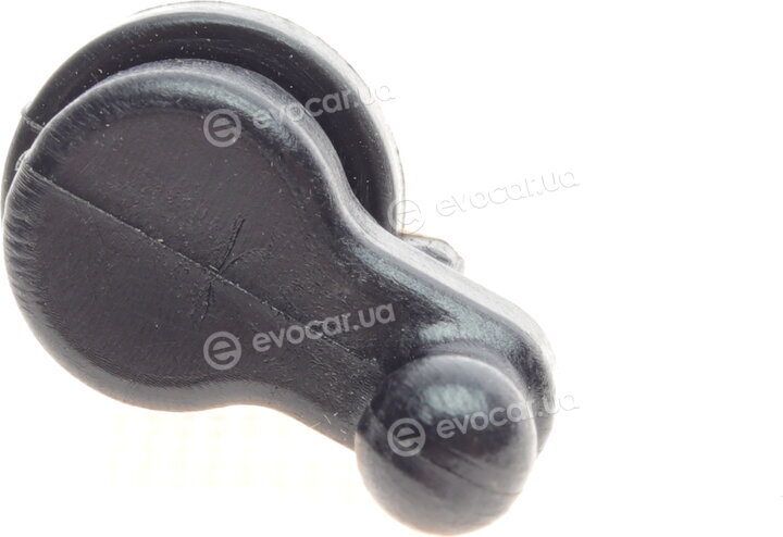 Solgy 113010