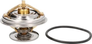 Wahler / BorgWarner 4078.71D