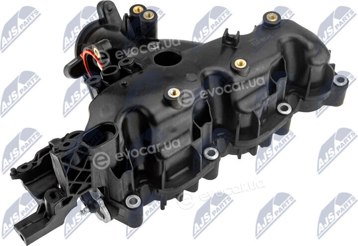 NTY BKS-VW-025