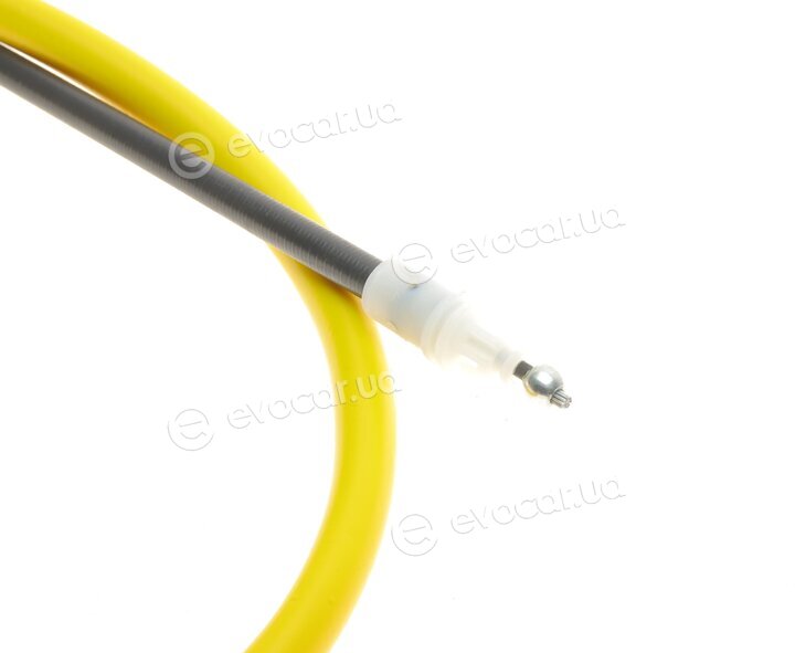 Solgy 219066