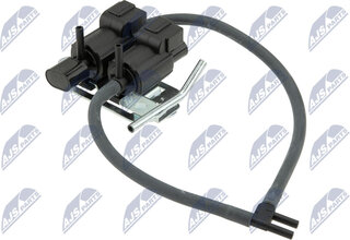 NTY EAG-MS-005