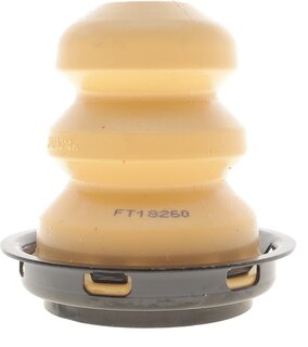 Fast FT18260