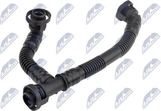 NTY GPP-BM-019
