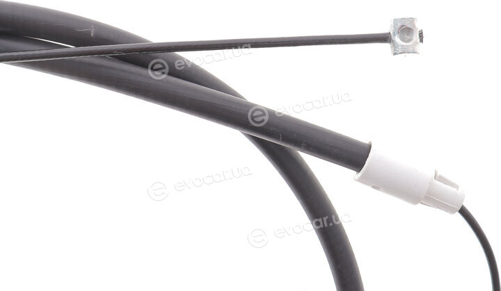 Solgy 219038