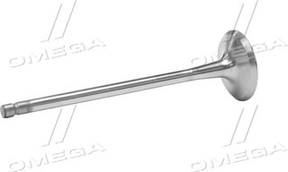 Gunes 6901