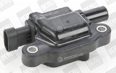 BorgWarner ZSE159