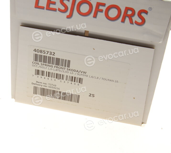 Lesjofors 4085732