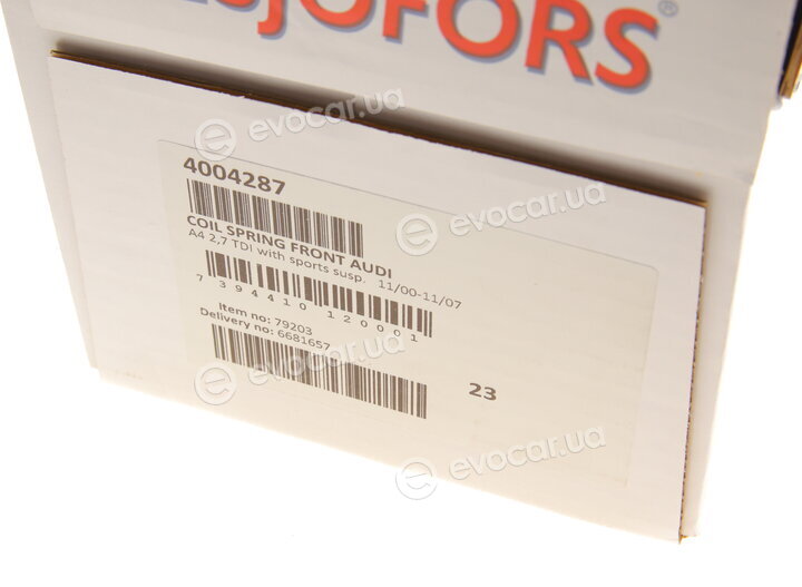 Lesjofors 4004287