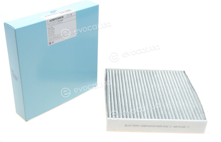 Blue Print ADBP250030