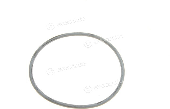 Elring 351.980