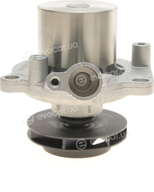 Continental CT1168WP6