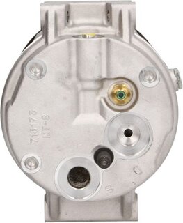 Delphi TSP0155656