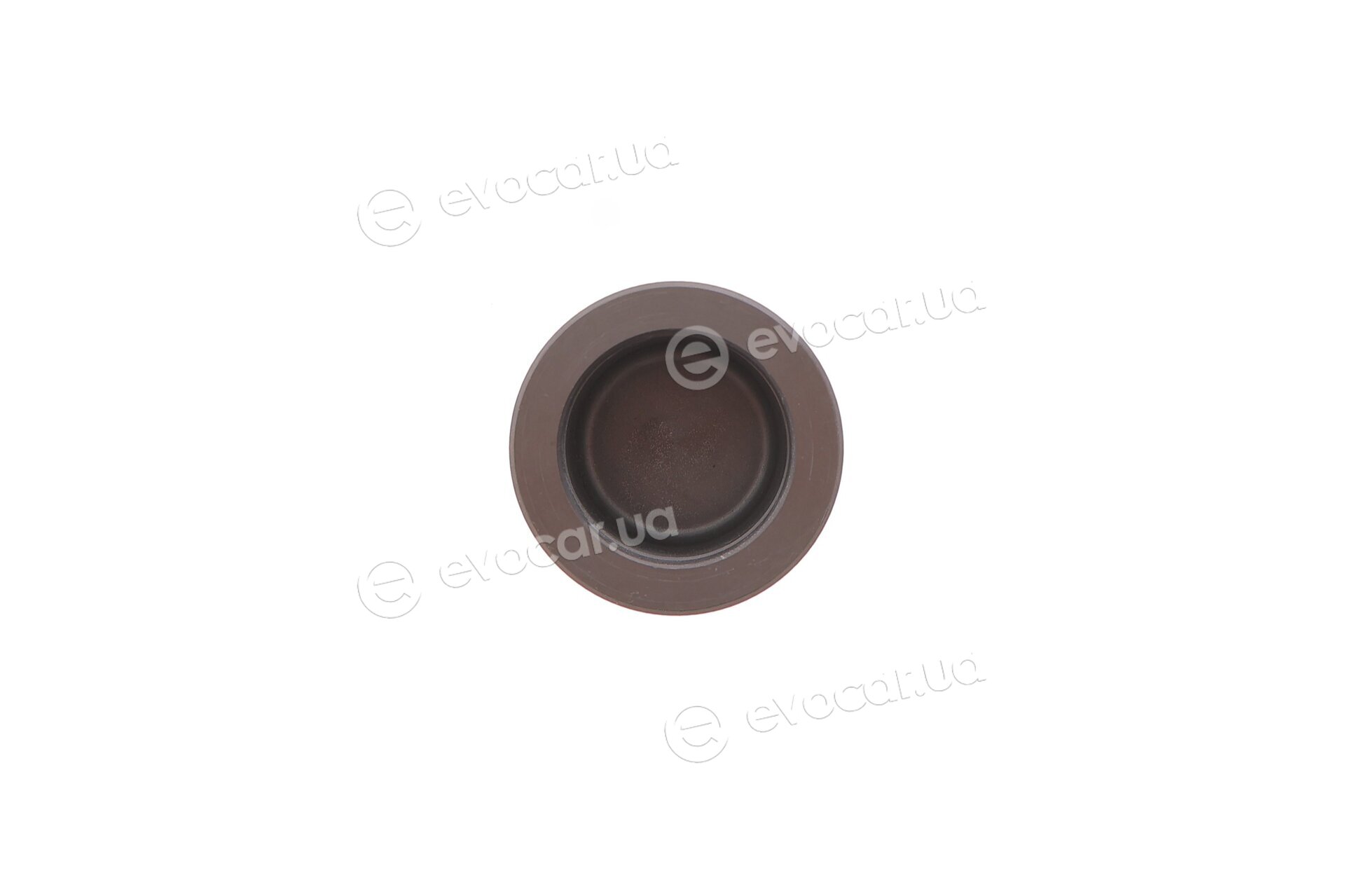 Frenkit P484805