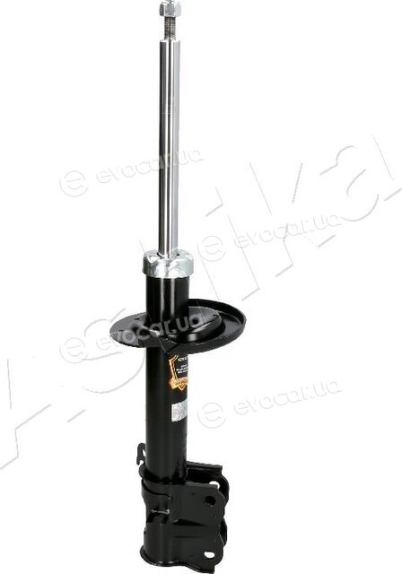Ashika MA-50074