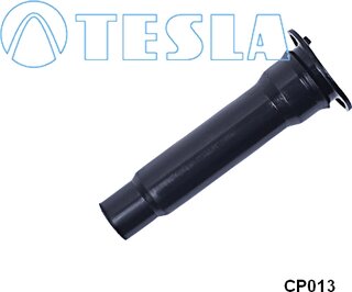 Tesla CP013