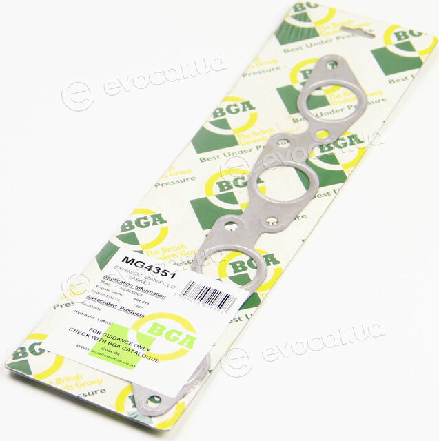 BGA MG4351
