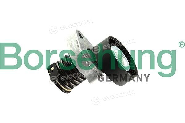 Borsehung B13088