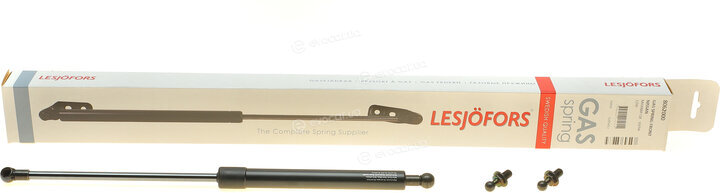Lesjofors 8062000