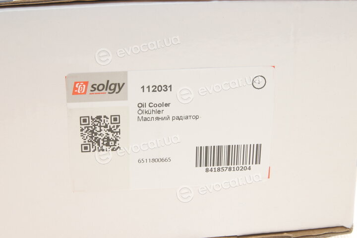 Solgy 112031
