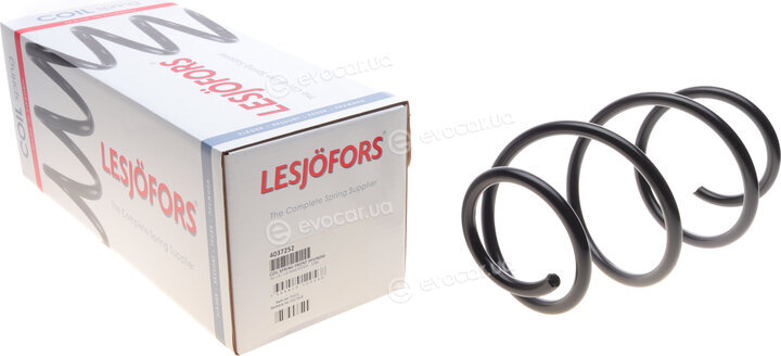 Lesjofors 4037252