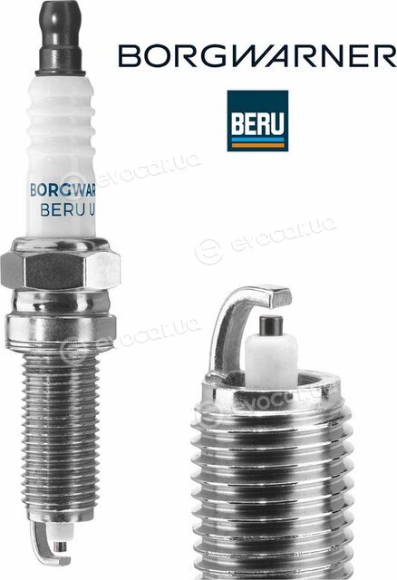 BorgWarner Z362