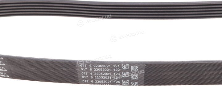 Continental 6PK1318