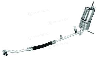 Starline DK V0081