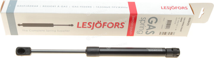 Lesjofors 8008425
