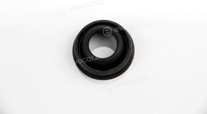Elring 323.480