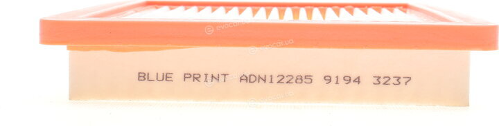 Blue Print ADN12285