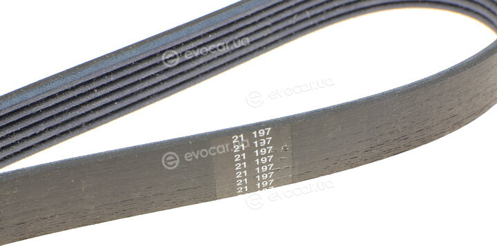 Hutchinson 1073 KA 6